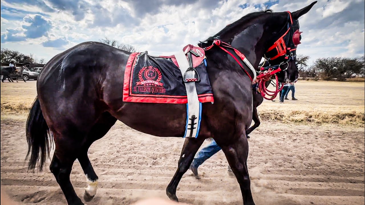 Que Tremendo Carreron | El Valente Quintero Vs La Chitara, Carril La Tira Durango Mex.