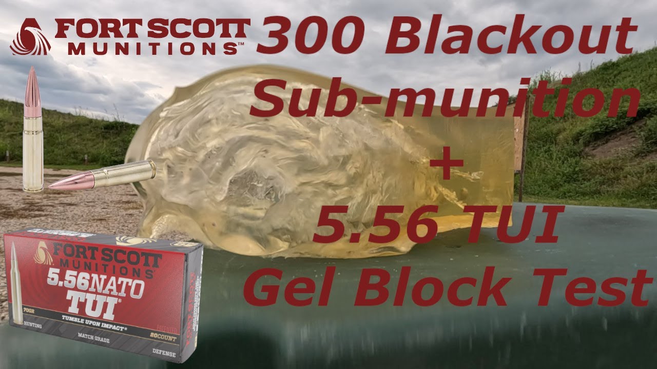 Испытание блока баллистического геля | 300 подлодок Blackout + боеприпасы 5.56 Fort Scott