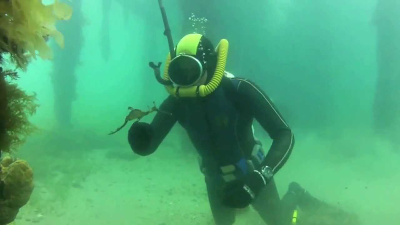 Vintage SCUBA Dive at Flinders Pier, Melbourne, Australia. (New Years Day 2014)