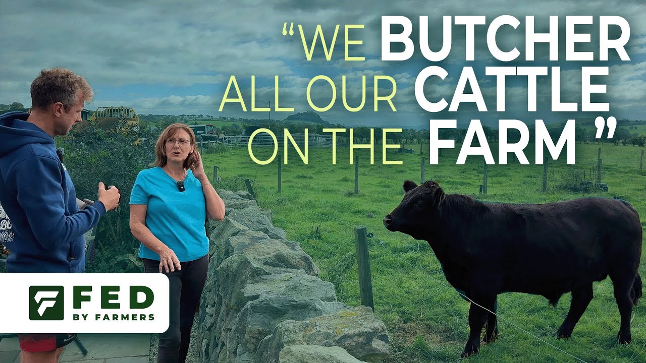 Mary Cochrane - Dexter Cattle and how she processes them on farm.