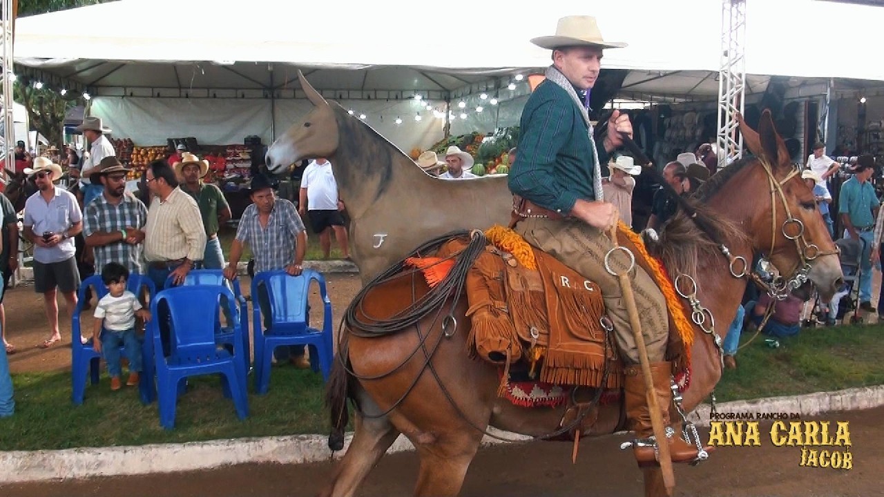 Concurso de Tralha - 5 Categorias no 18° Encontro Nacional de Muladeiros de Iporá-GO 2026