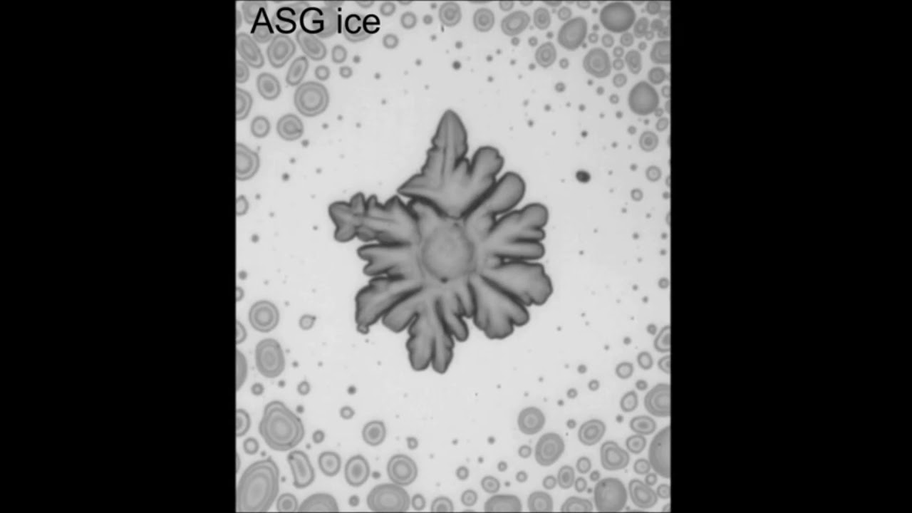 Distinct ice patterns on solid surfaces with various wettabilities