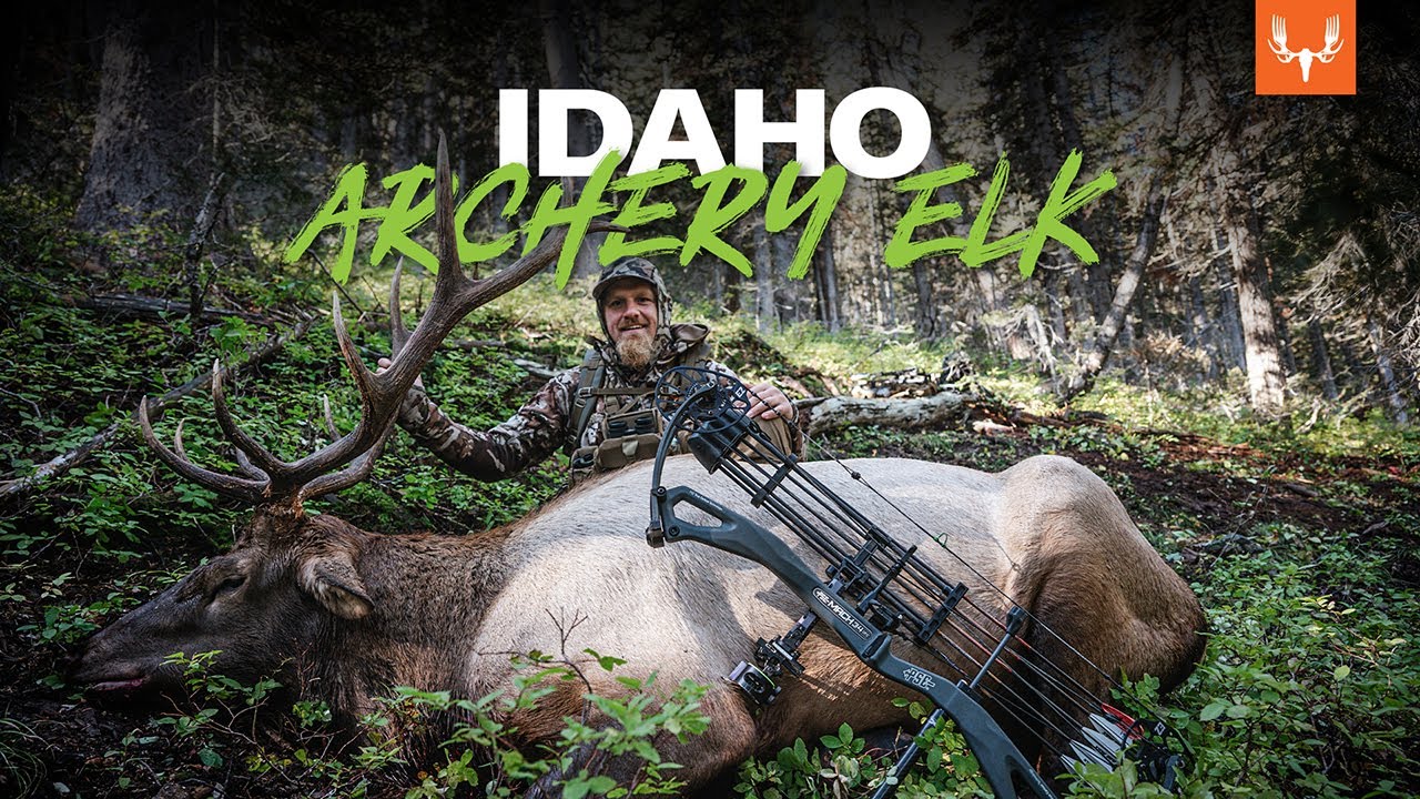 Idaho Archery Elk with Jason Phelps