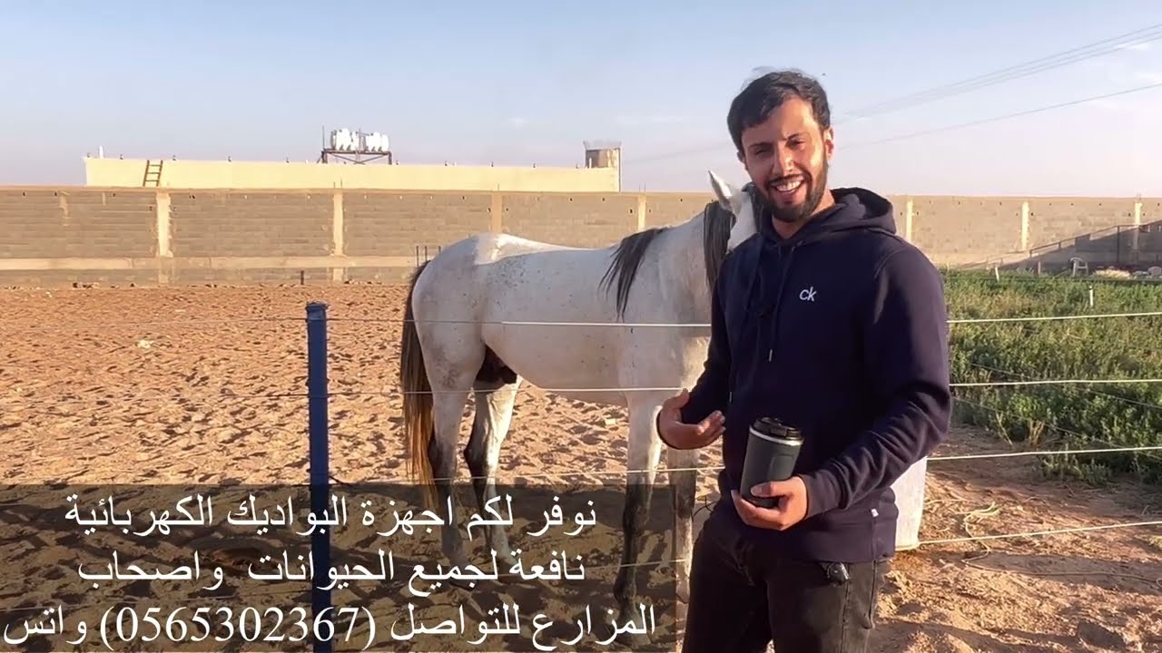 قواعد عسف الخيل بكل إحترافيه ( حافظ على الخيل تؤجر )