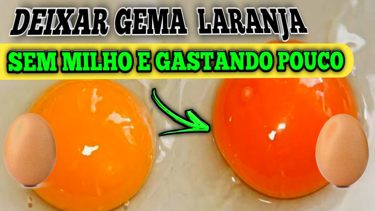 COMO deixar GEMA de OVO  laranja sem MILHO 😲|USANDO esse INGREDIENTE !