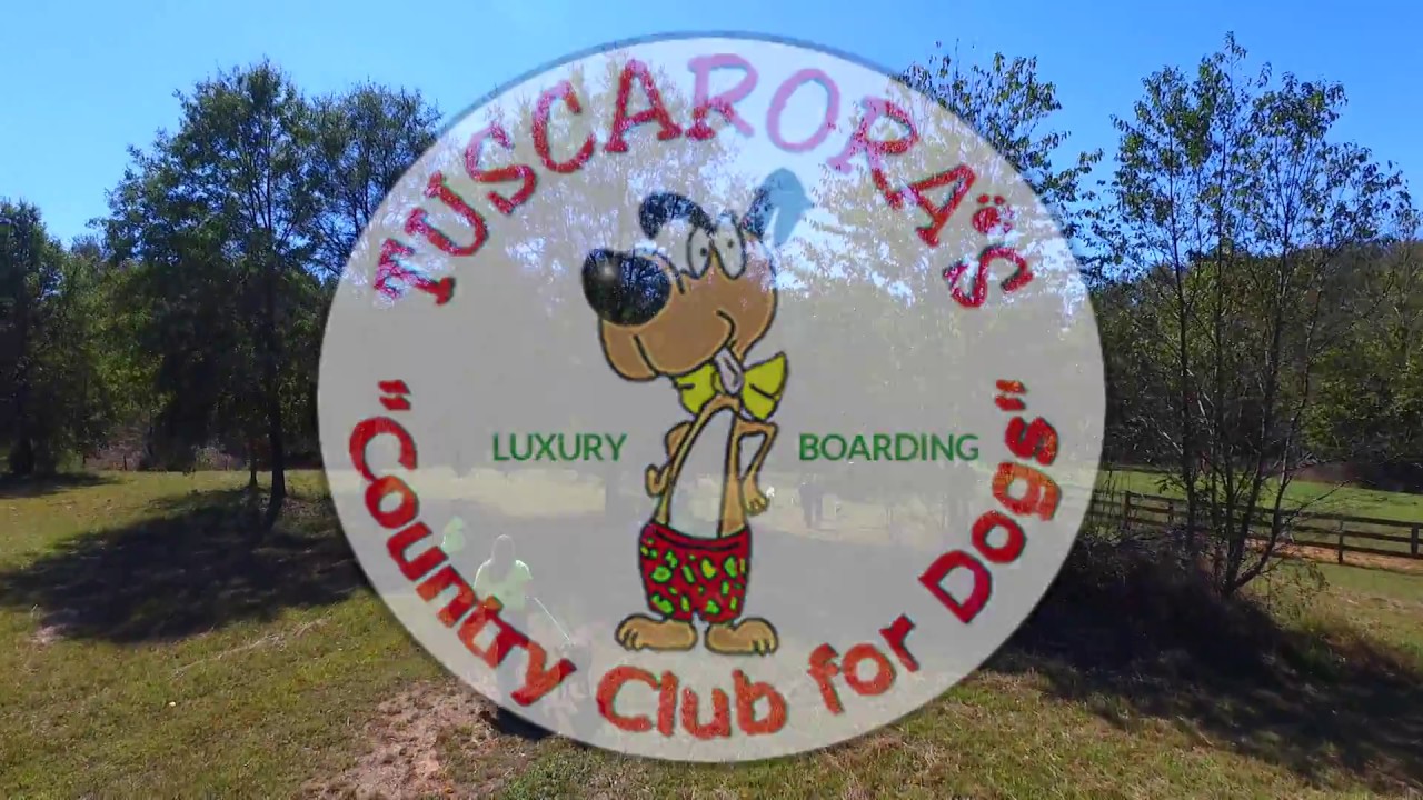 TUSCARORA'S LUXURY DOG BOARDING KENNEL ON 33 ACRES, OCTOBER 2016