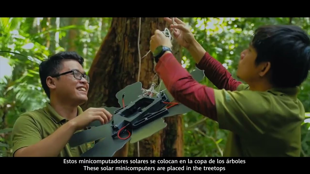 Huawei x Rainforest Connection in Latin America- The Impact of Deforestation