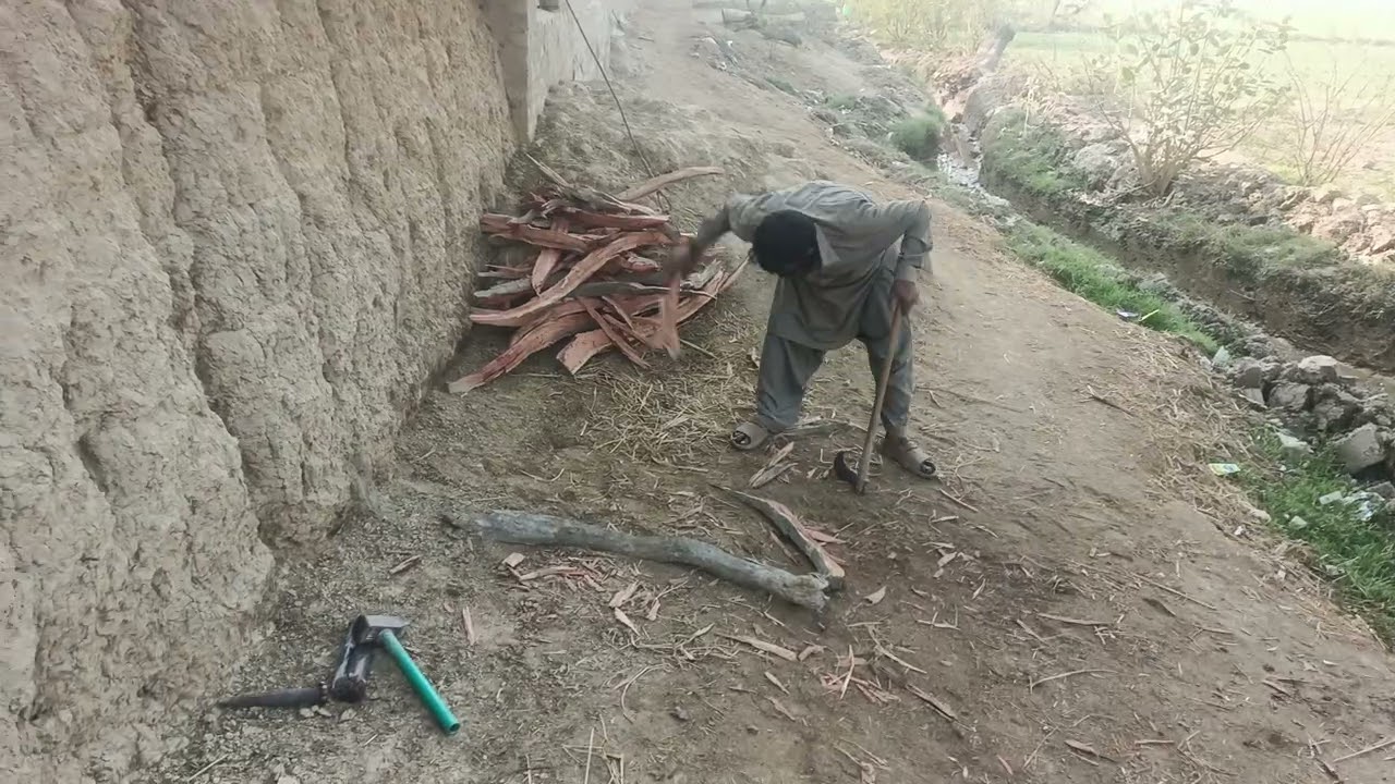 Jamadar Tahir alias Leha Khan is a disaster for timber