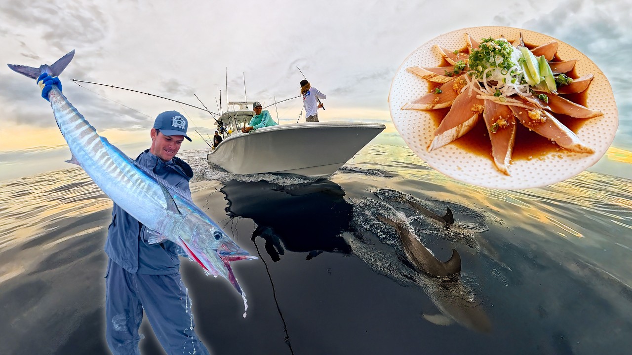 Catching BEST Tasting Fish for Professional Japanese Chef Naoki | Catch + Clean + Cook