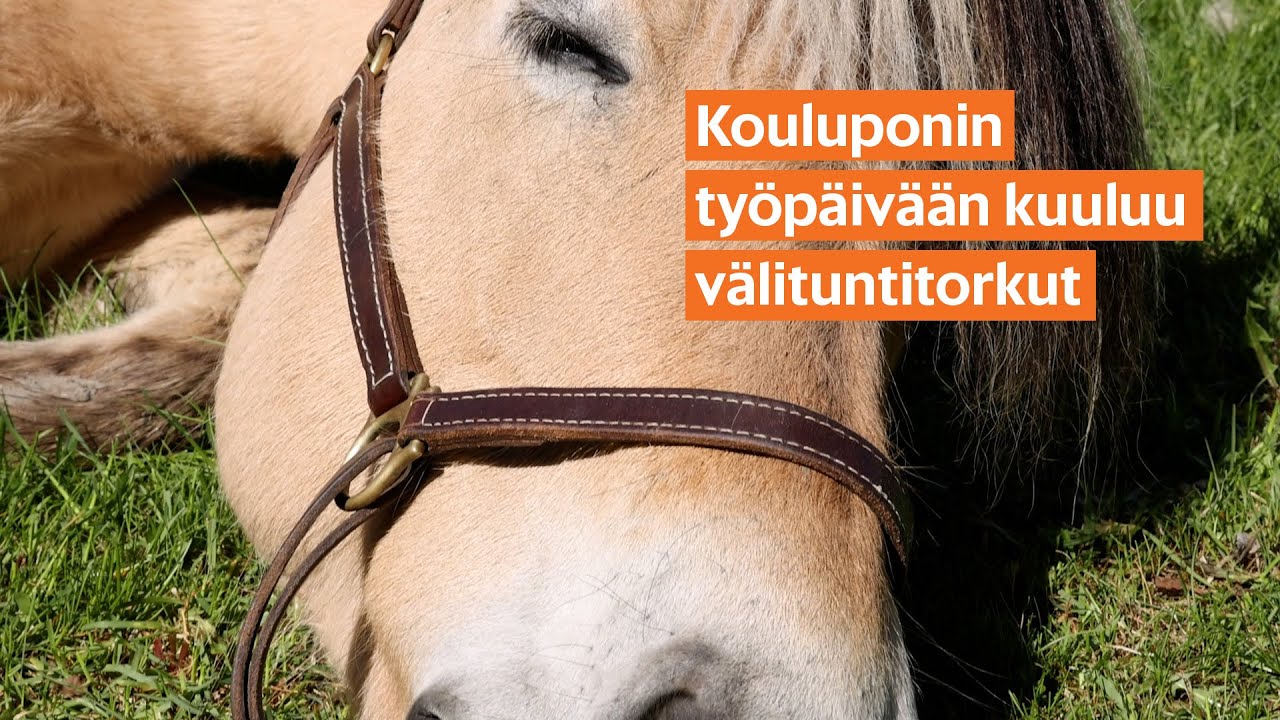 Kouluponin työpäivään kuuluu välituntitorkut