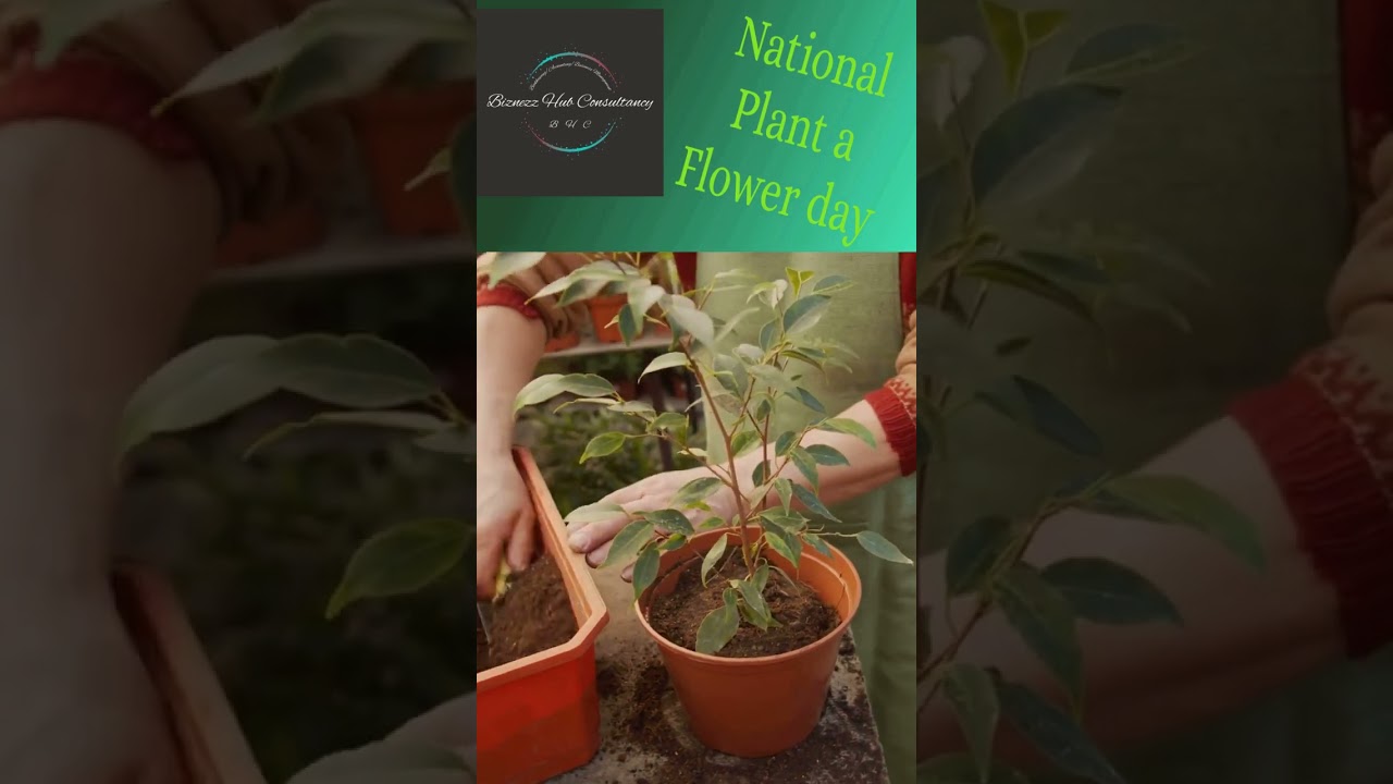 National Plant a Flower Day