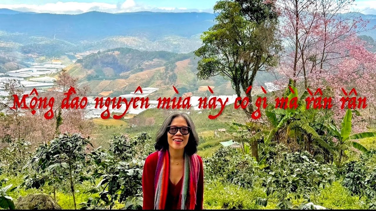 Mộng Đào Nguyên Mùa Này Có Gì Mà Rần Rần Vậy Mọi Người Ơi ! #mộngđàonguyên #travel #dulich #đàlạt 