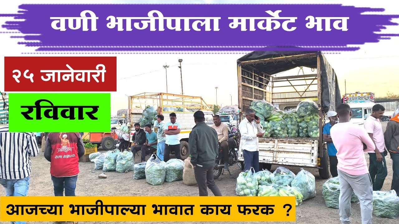 २५ जानेवारी २०२६ | वणी भाजीपाला मार्केट भाव | Vani Bhajipala Market Rate | Vegetable Rate Today