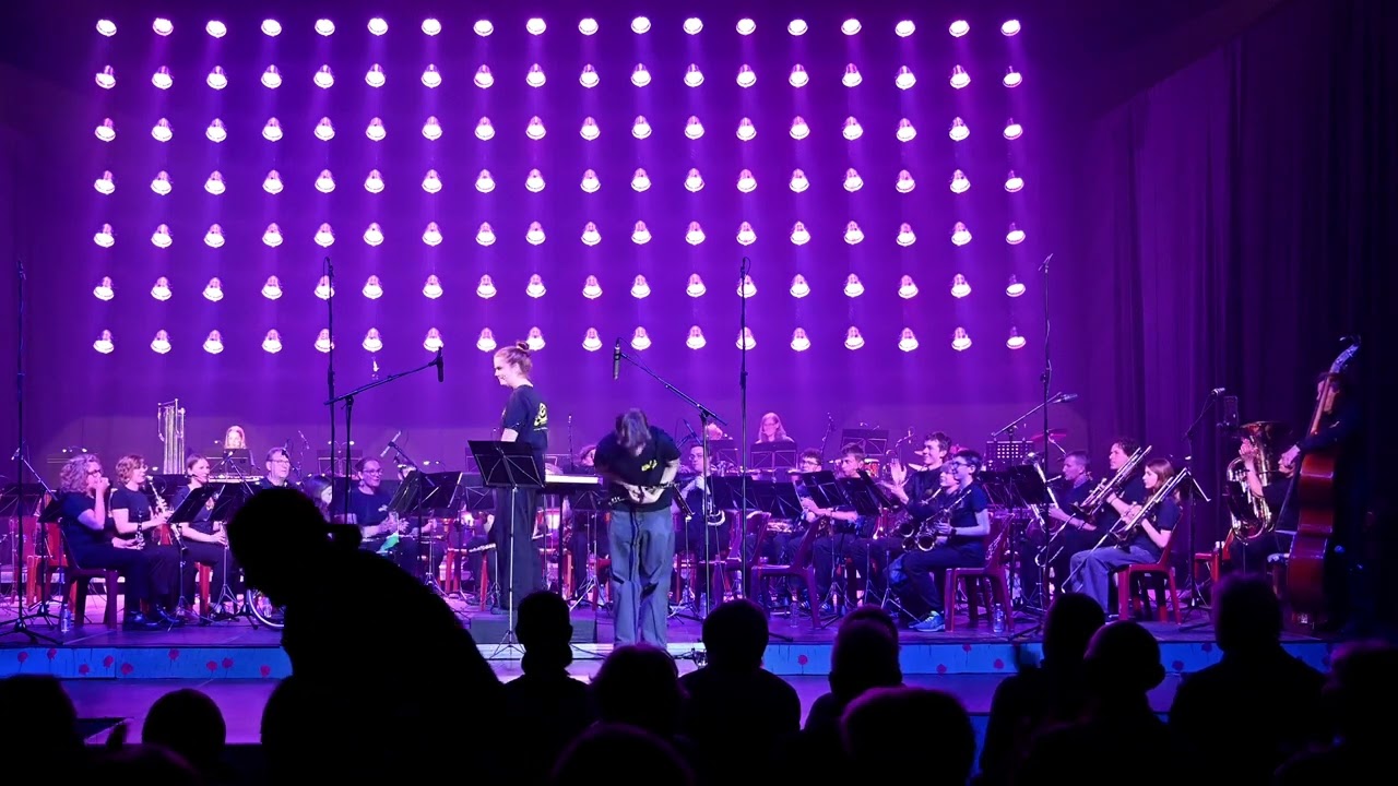 Lenteconcert 2025 - Instaporkest