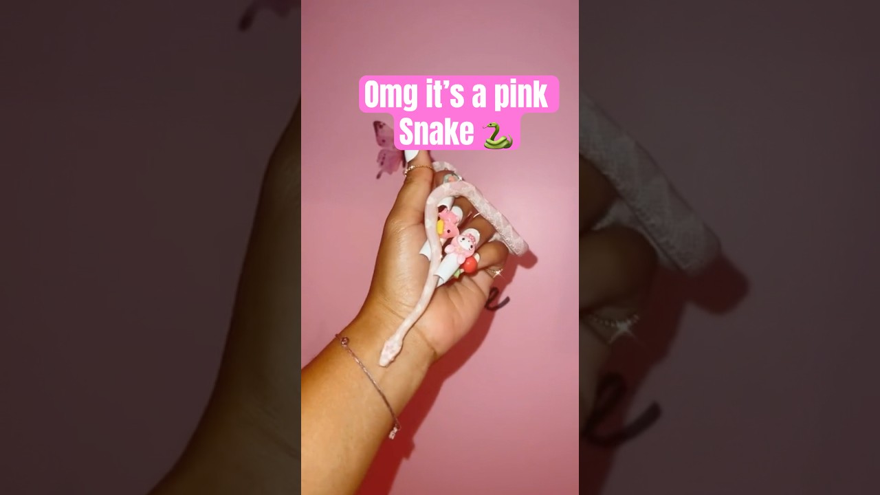 Pink Corn Snake 🐍 