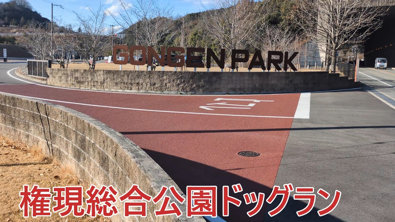 初めてのドッグラン