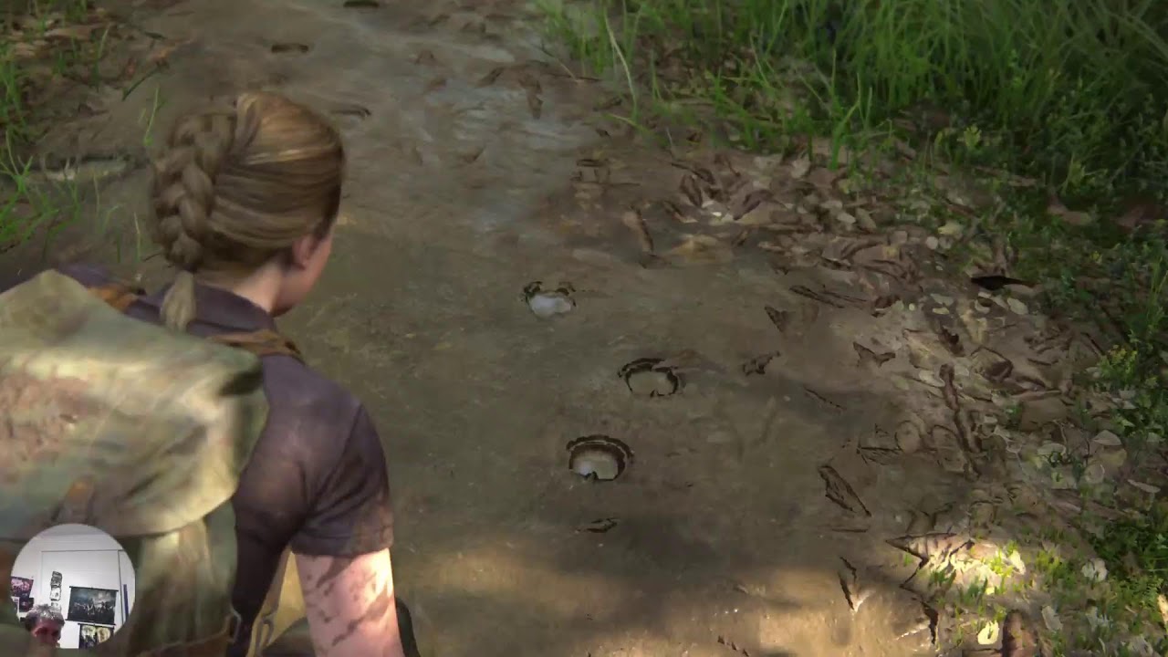 The last of us 2     with upgrades 4