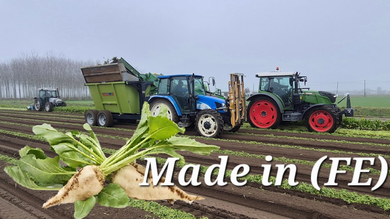 Barbabietola?  Parte tutto da qui...