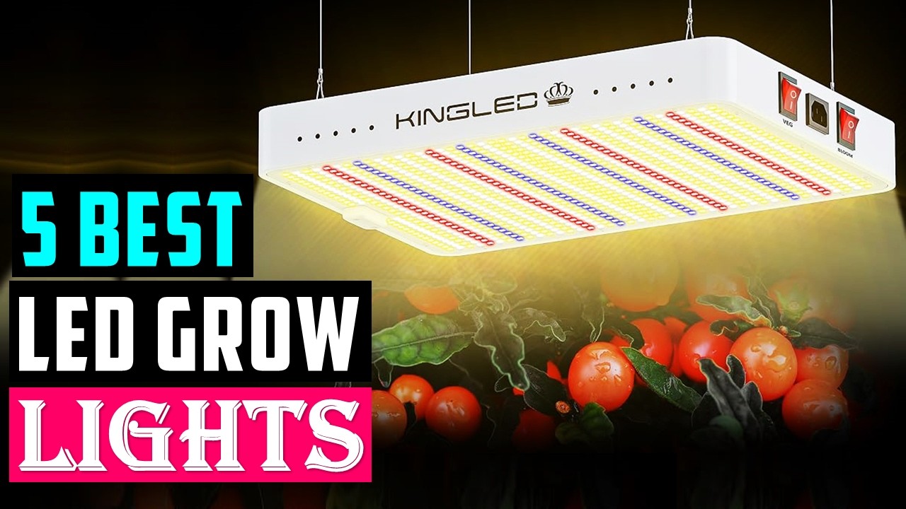 Top 5 Best LED Grow Lights in 2026