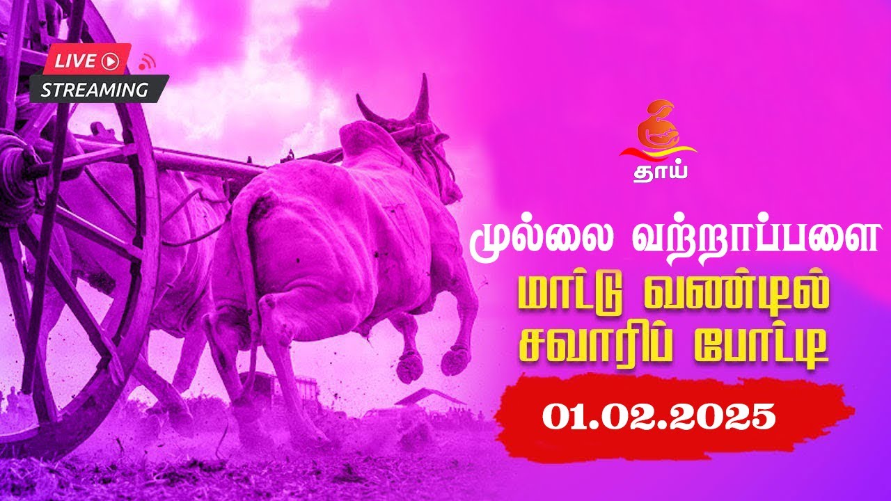 🔴 LIVE மாபெரும் மாட்டு வண்டி சவாரி போட்டி | முல்லை வற்றாப்பளை | நேரலை - 01.02.2025