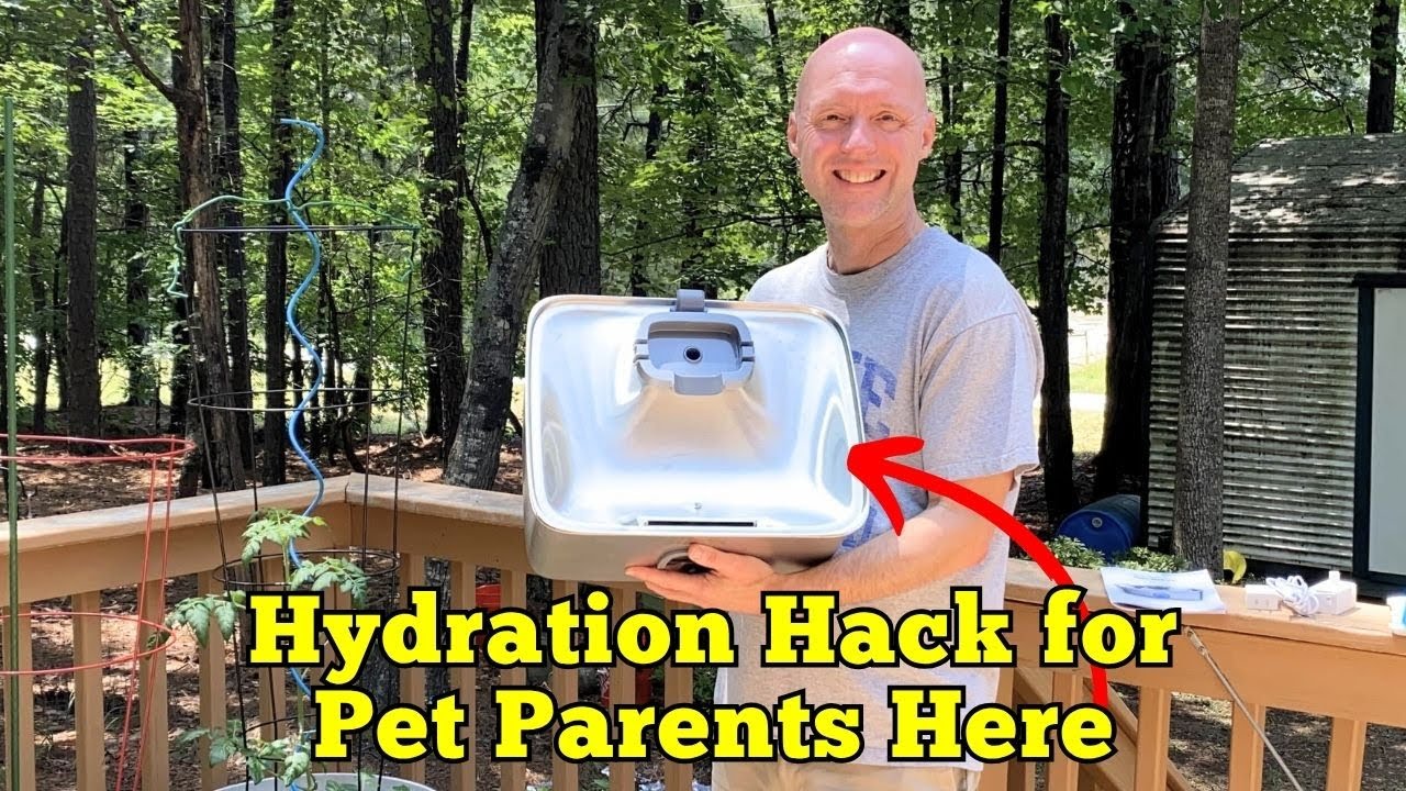 SIBAYS 4Gal15L Large Dog Water Fountain YT QR