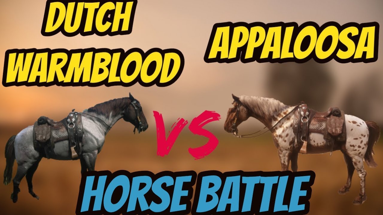 RDR 2 Appaloosa VS Dutch Warmblood ! Horse Battle ! Who Will Win ?