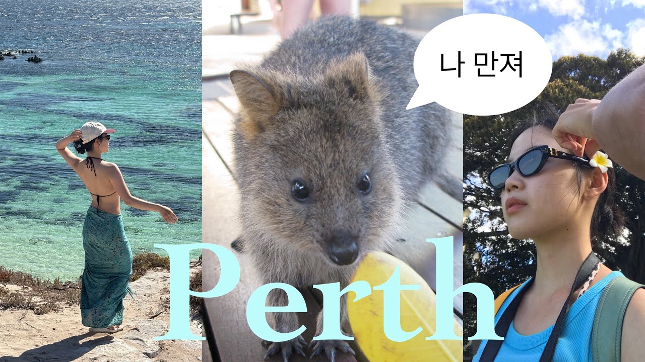 쿼카가 내 무릎위에 ?! 🦘🇦🇺호주의 요시고 바다🪼🧘‍♀️ I 4박5일 호주 퍼스여행 루트••로투네스트 •호주 인생커피 l Perth•Rottnest island vlog