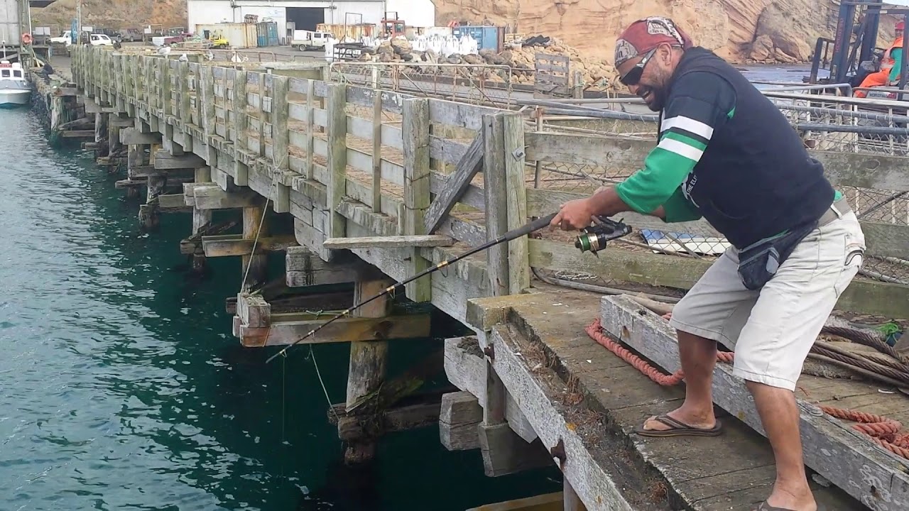 Waitangi wharf fishing