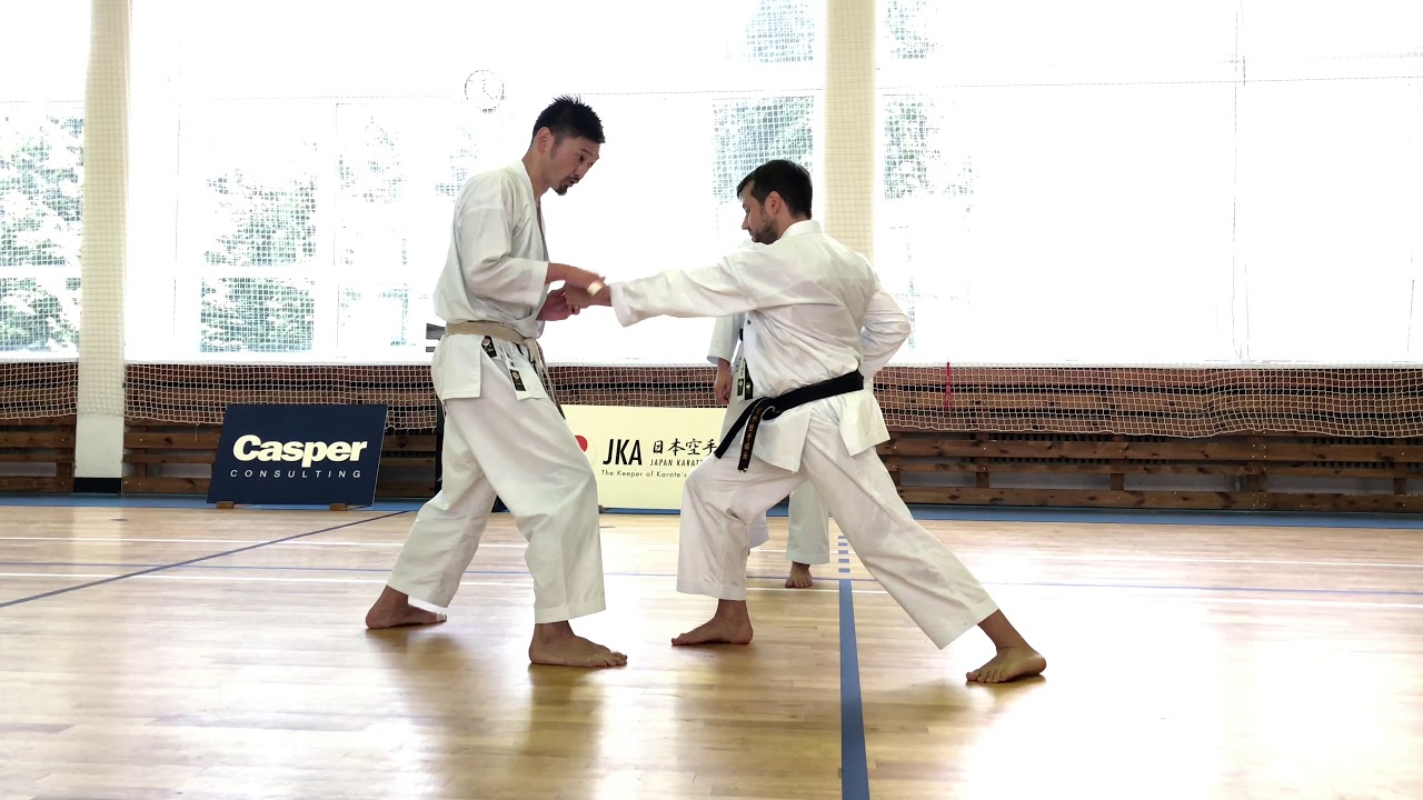 Ryosuke Shimizu Sensei