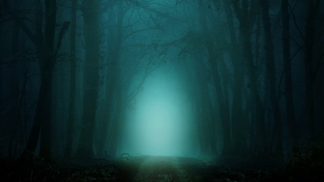 Sebastian Sellares - Epiphany In The Woods [Original Mix]