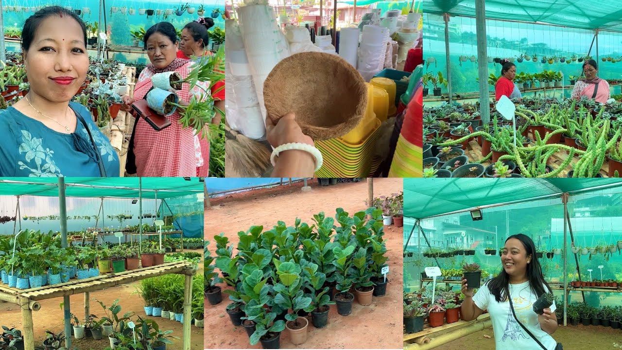 Suk nursery visit//Nongmynsong Shillong//Meghalaya