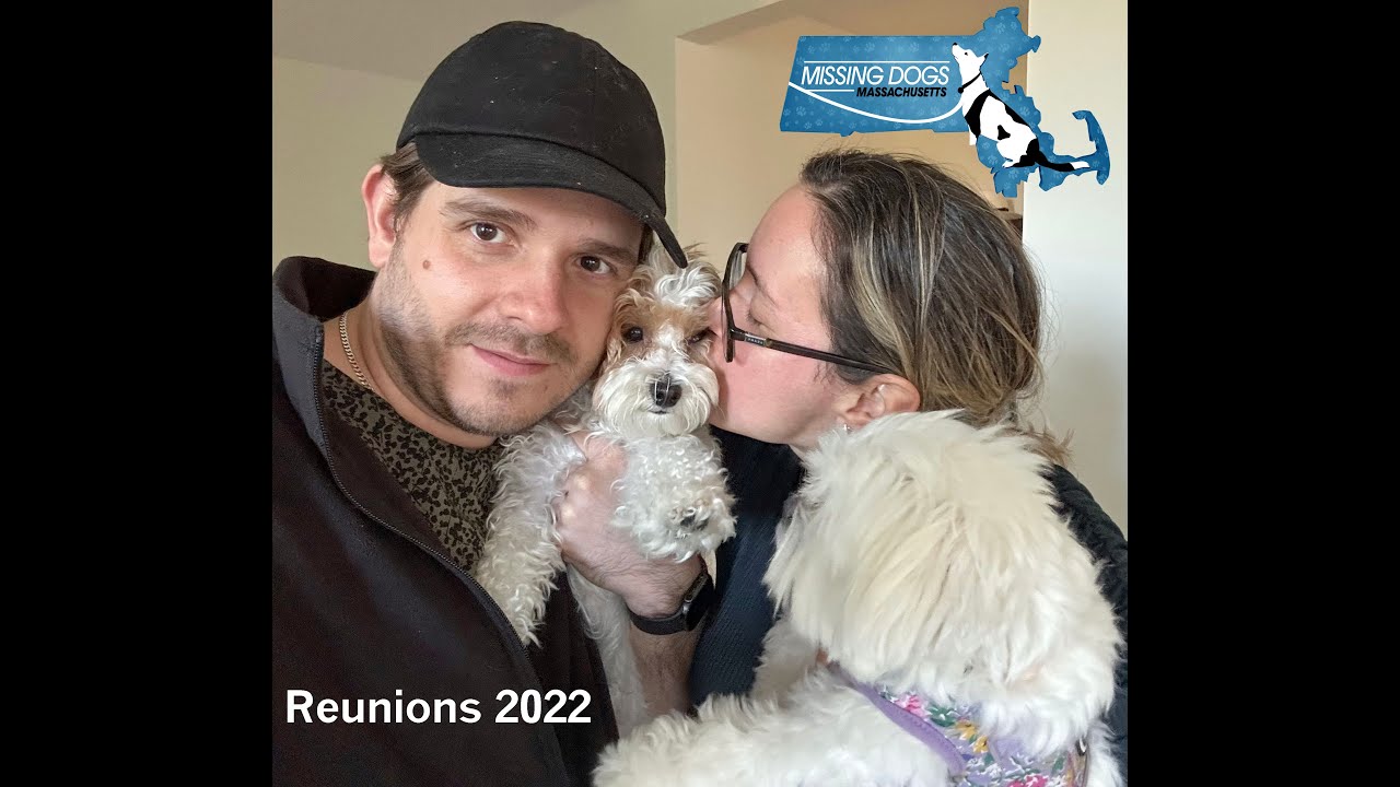 Missing Dogs Massachusetts 2022;  A Celebration of Reunions