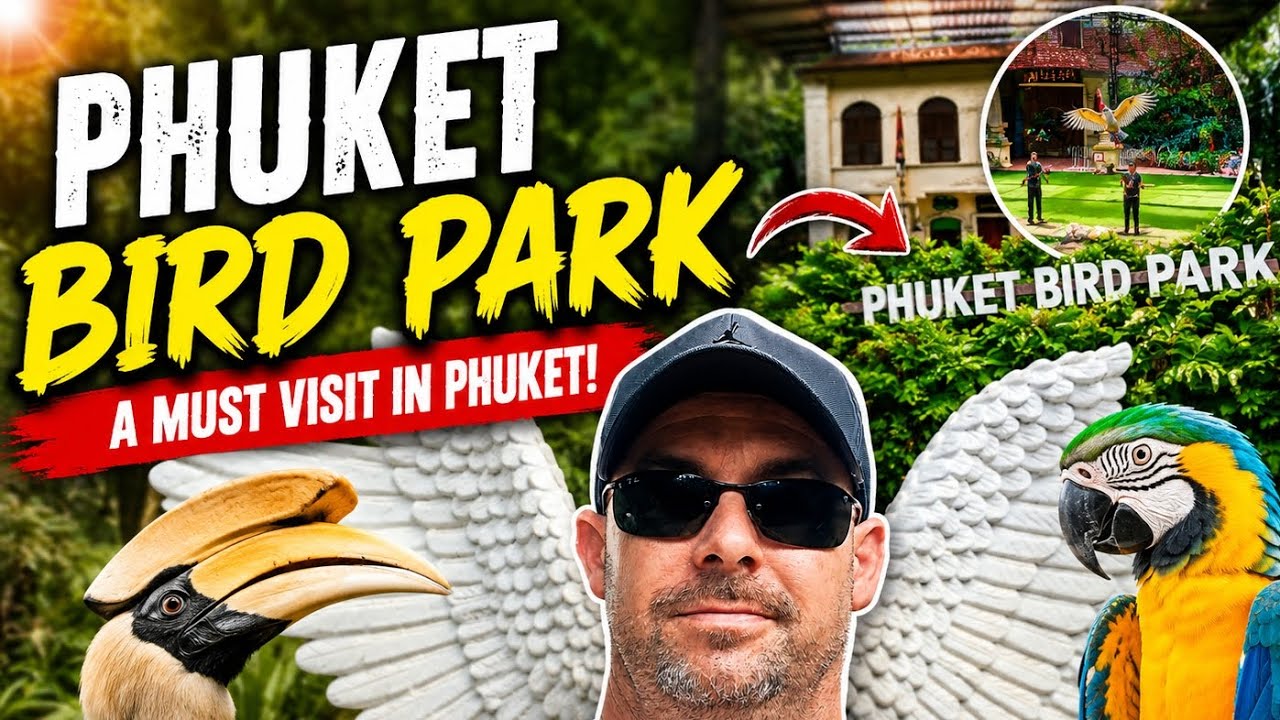 Inside Phuket Bird Park 🇹🇭 Exotic Birds & Crazy Shows!