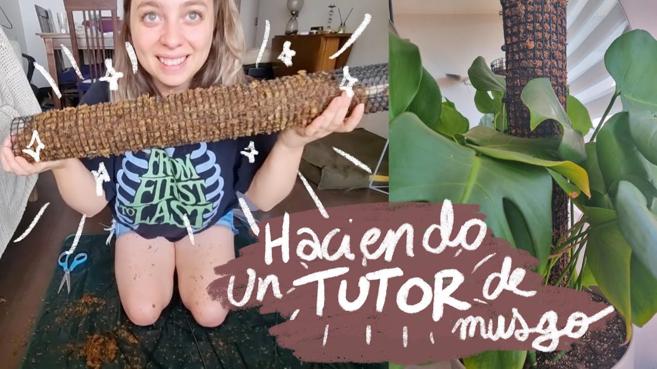 Haciendo un Tutor de Musgo para mi Monstera Deliciosa