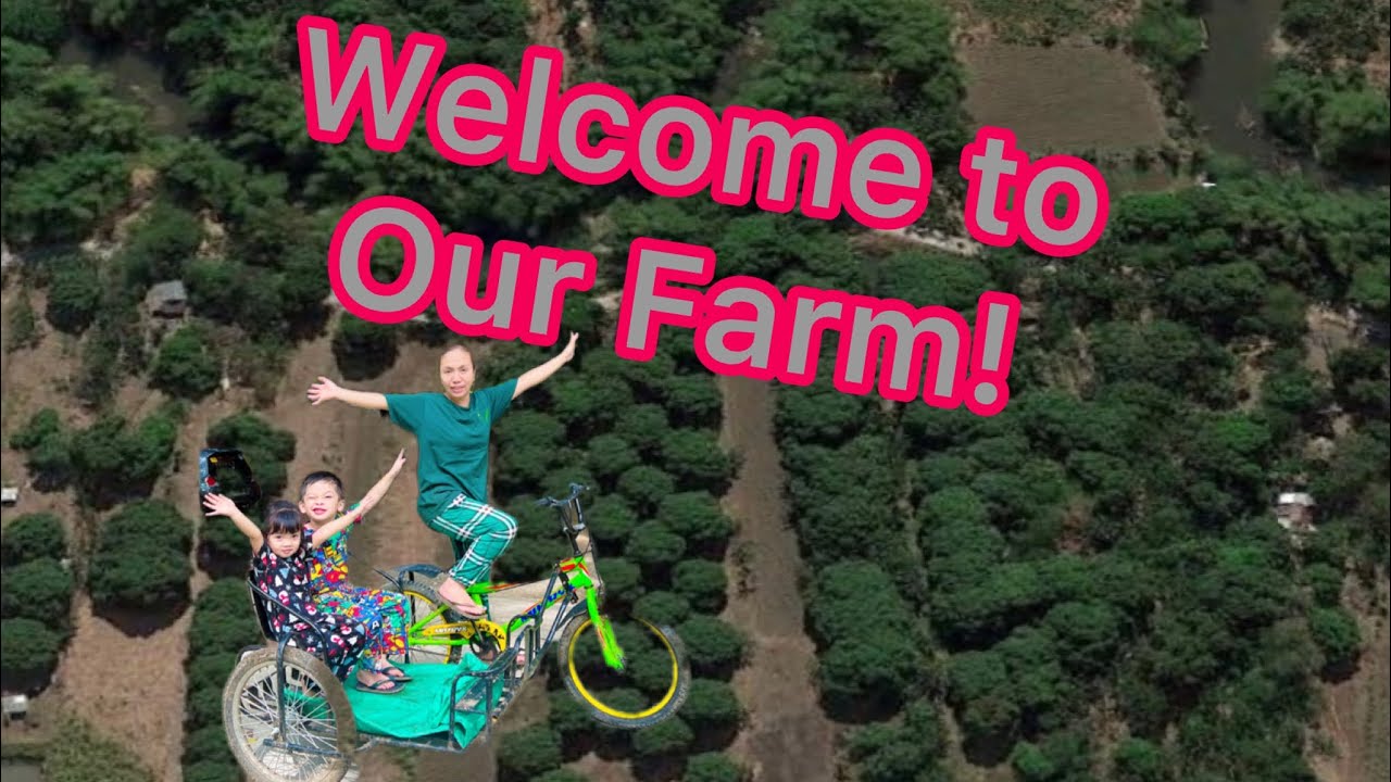 Bought a Farm in FB page !!