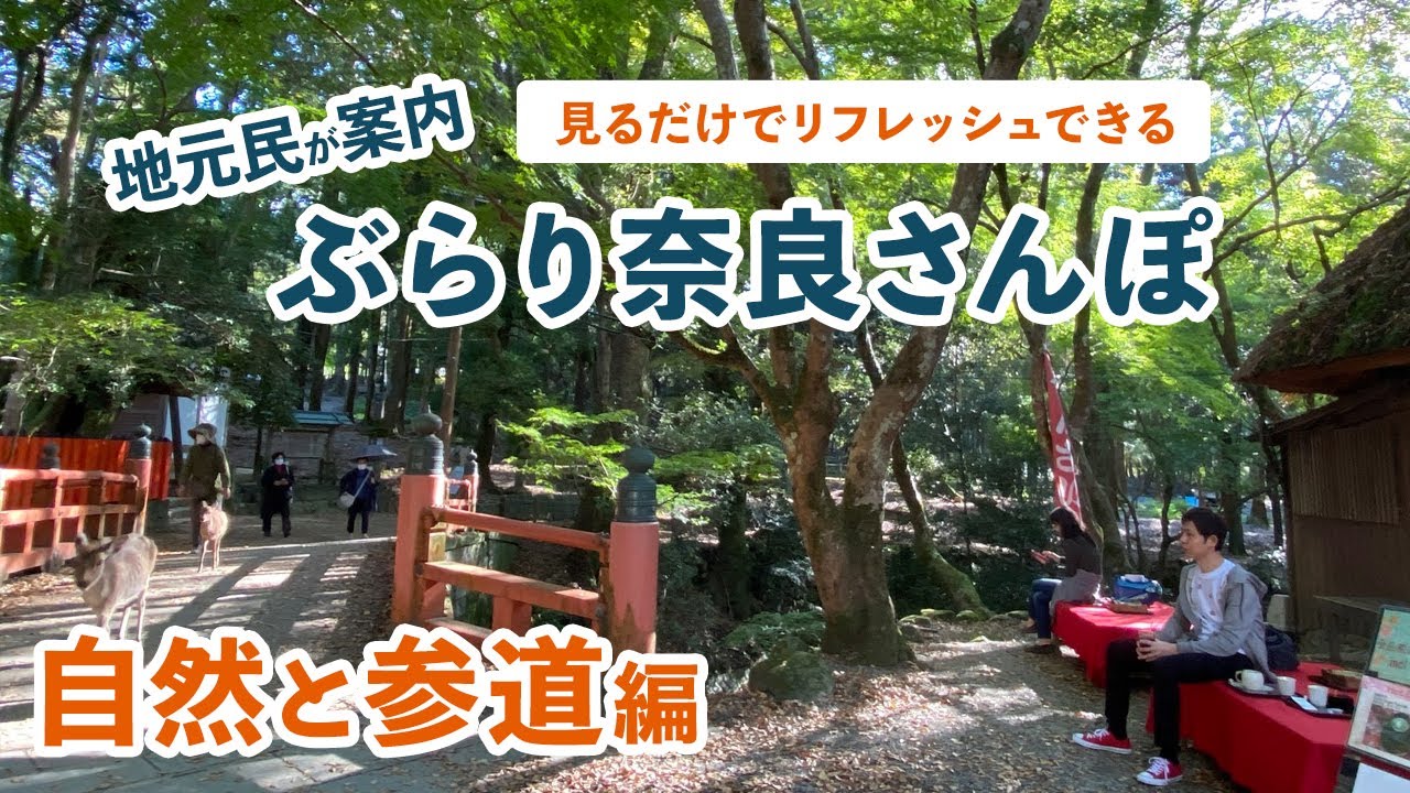 地元民が案内する奈良さんぽコース｜ならまち〜猿沢池〜春日大社参道〜若草山〜二月堂｜気持ちいいよ！｜ Walking around Nara Station (Nara,Japan)