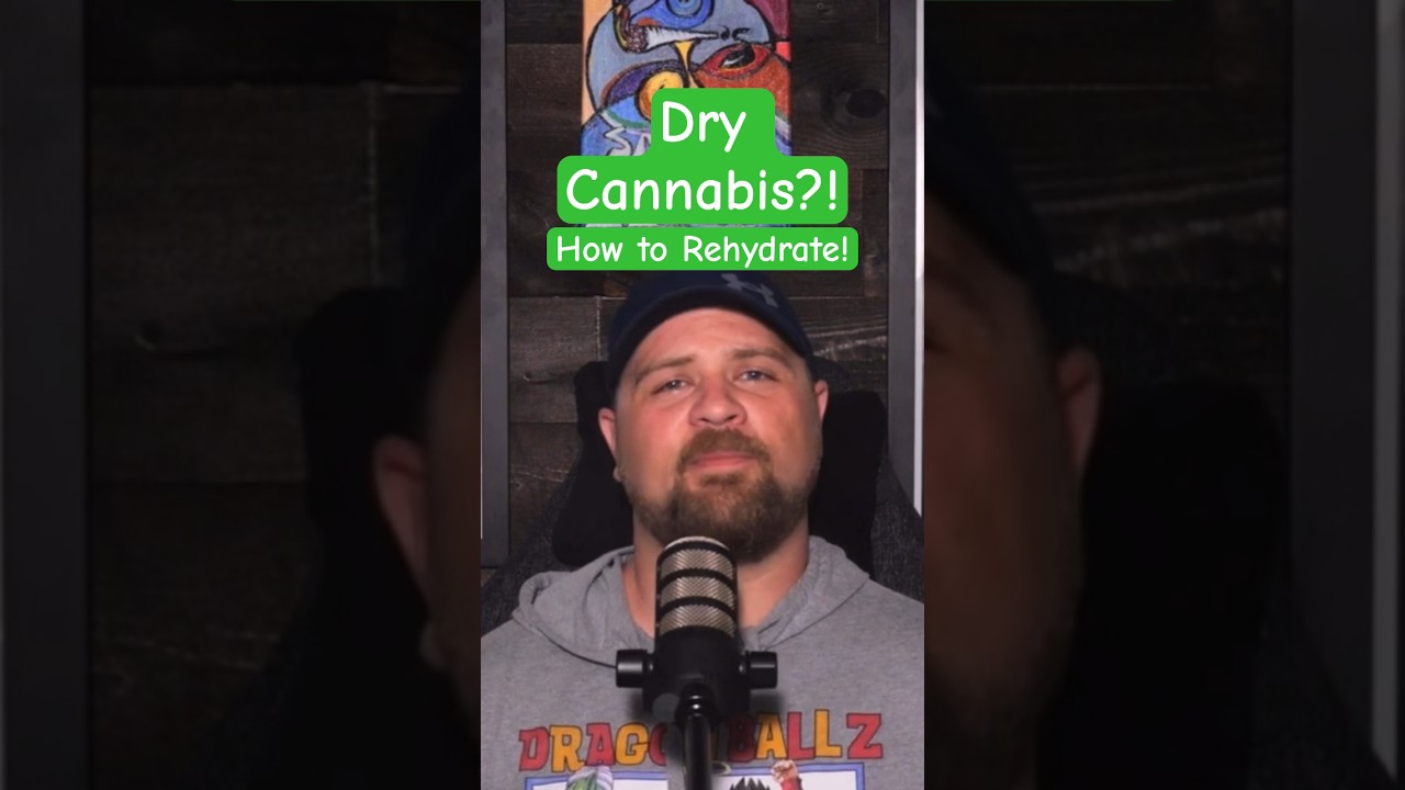 Rehydrating Dry Cannabis (Clip) #420 #reels #marijuanachannel