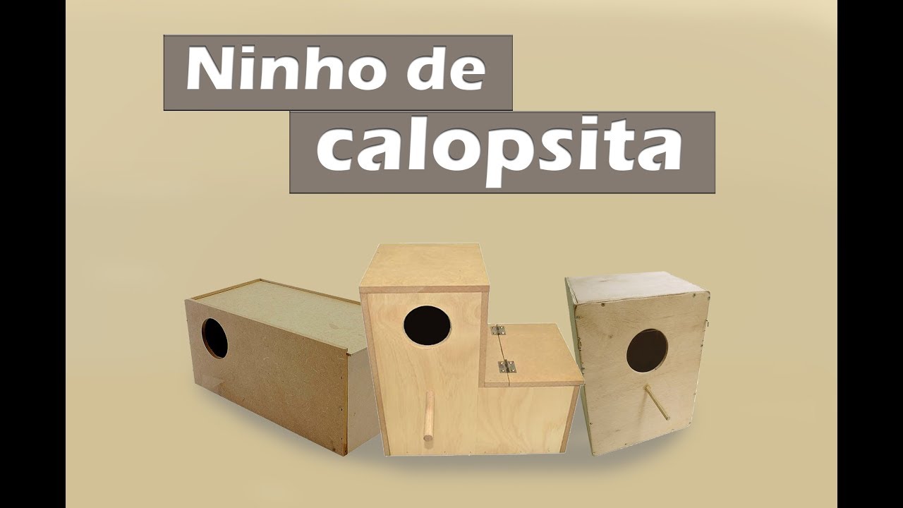 Qual é o melhor ninho para calopsita?