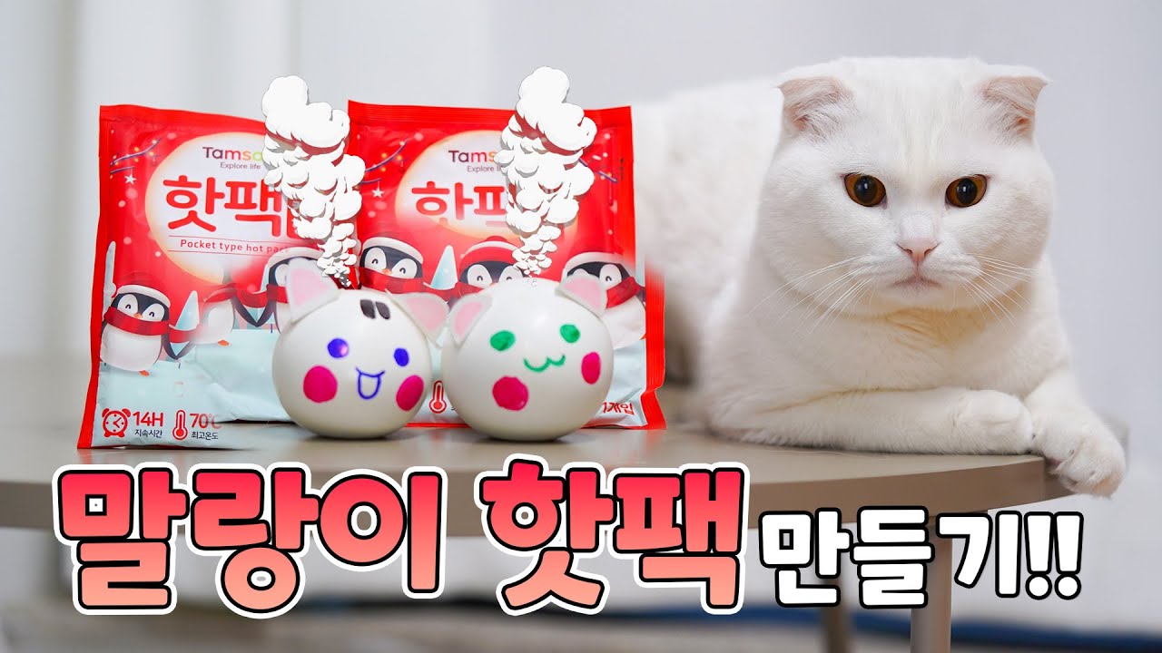 핫팩 말랑이를 만들어 봅시다! 🔥🔥| 고양이산책