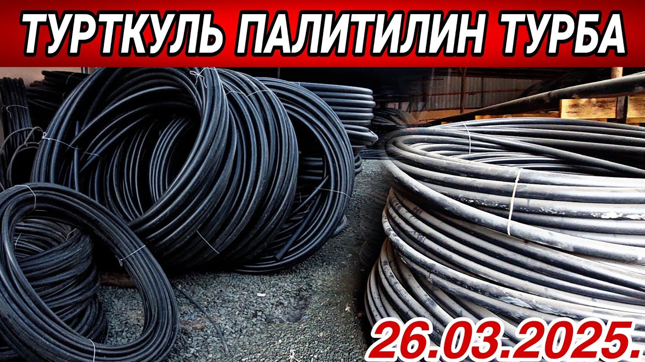 ТУРТКУЛЬ ПАЛИТИЛИН ТУРБА НАРХЛАРИ БИЛАН ТАНИШИНГ ТЕЗКОР ВИДЕО 26 марта 2025 г.