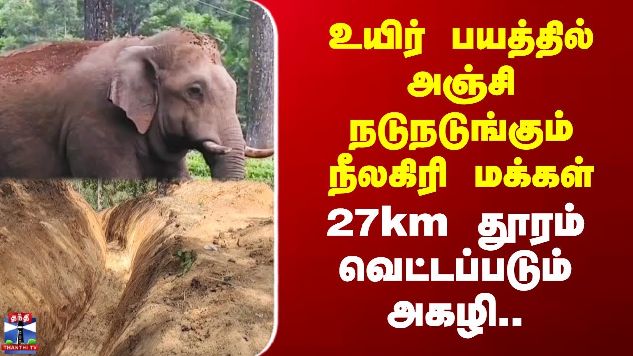 Nilgiris | Elephant | உயிர் பயத்தில் அஞ்சி நடுநடுங்கும் நீலகிரி மக்கள்27km தூரம் வெட்டப்படும் அகழி..
