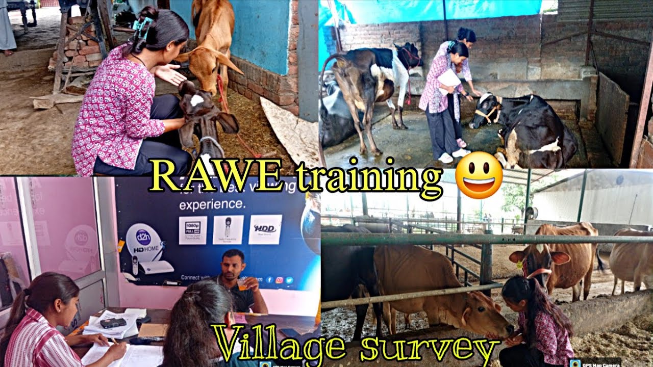 Rawe training 😍 || Village survey || #agriculture #vlog #dehradun
