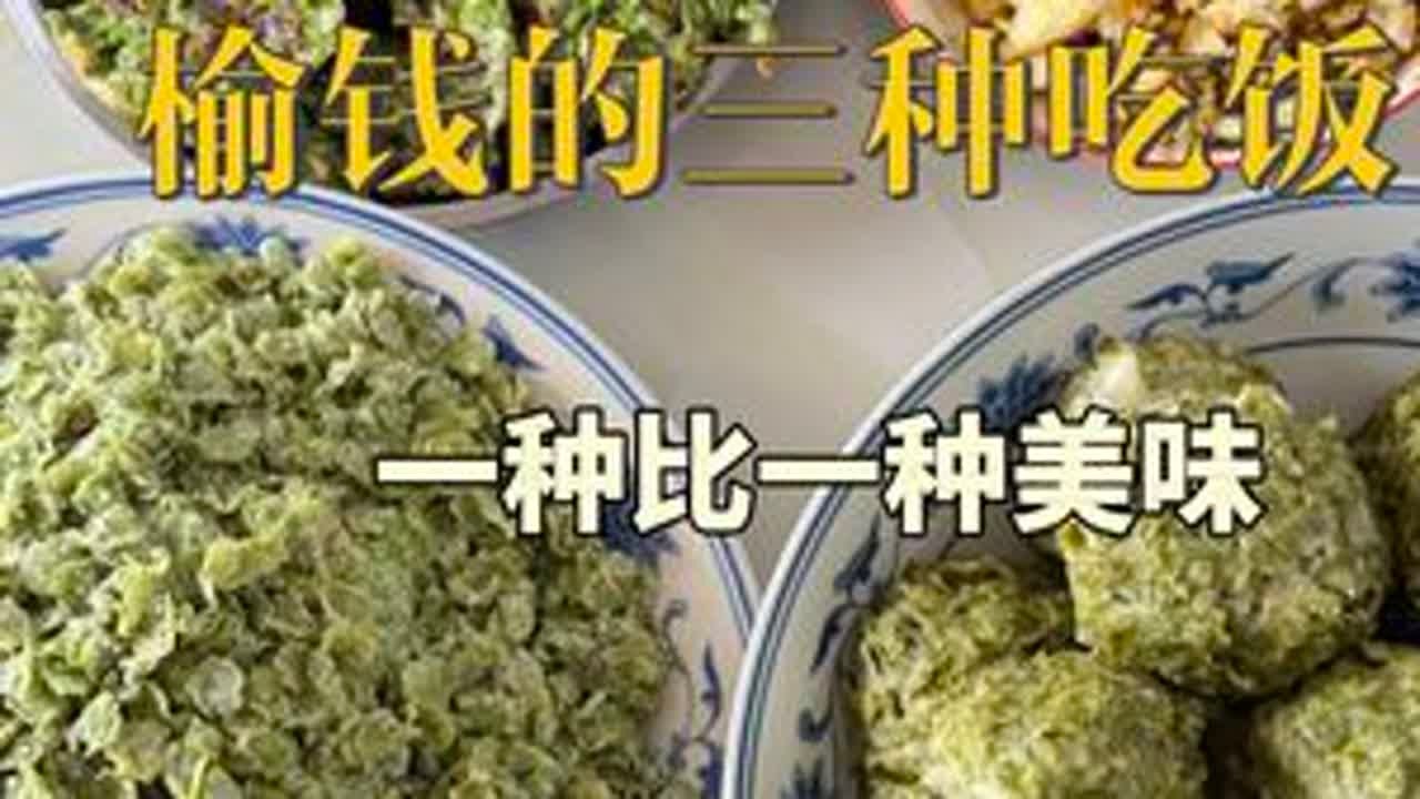 又到了吃榆钱子的季节了，春天吃榆钱，年年都有“余钱”  我今天用榆钱子做了三种美食，你最喜欢哪一种？#榆钱窝窝 #春天当然要尝尝榆钱 #新农人计划2025