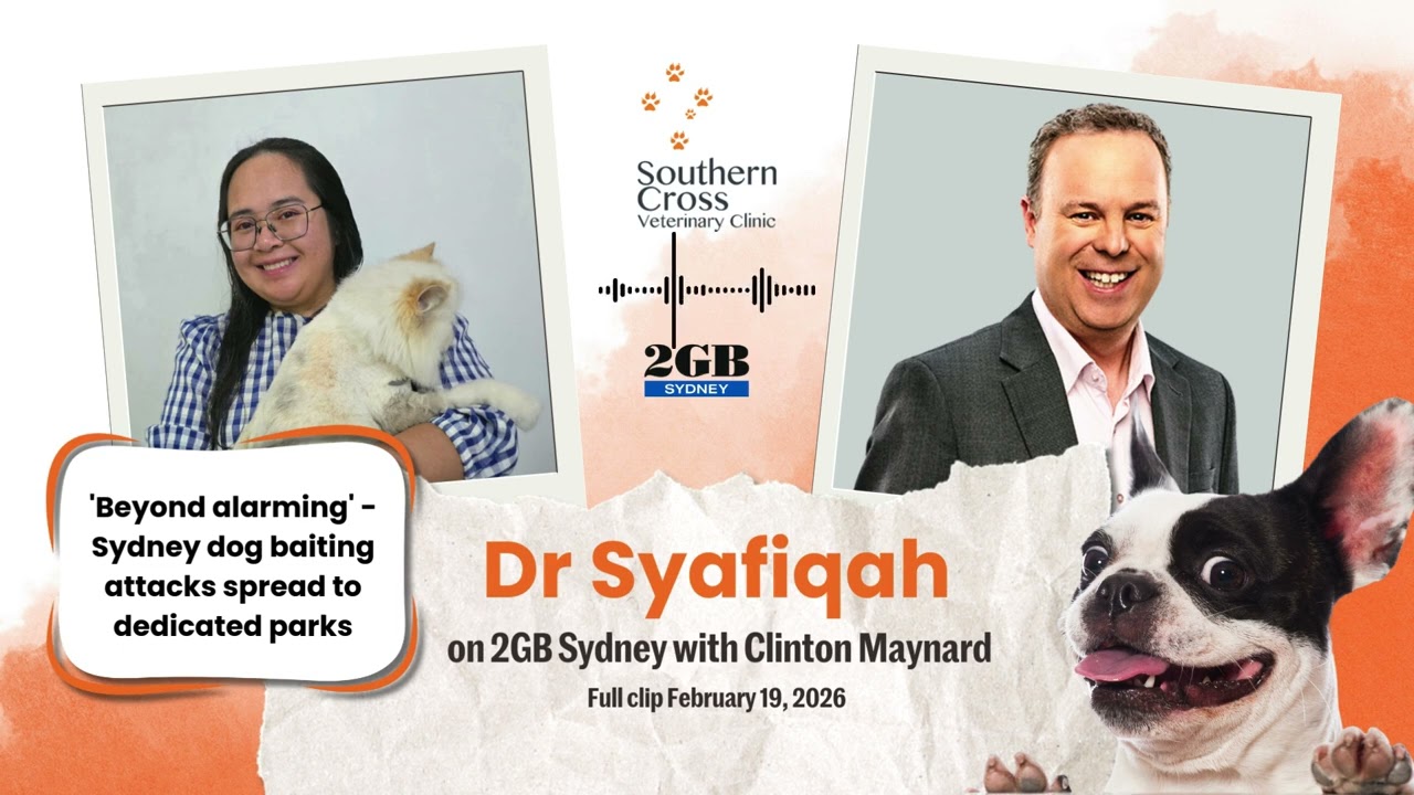 Dog Baiting in Sydney Parks: Warning Signs & What To Do | Vet Interview on 2GB Radio