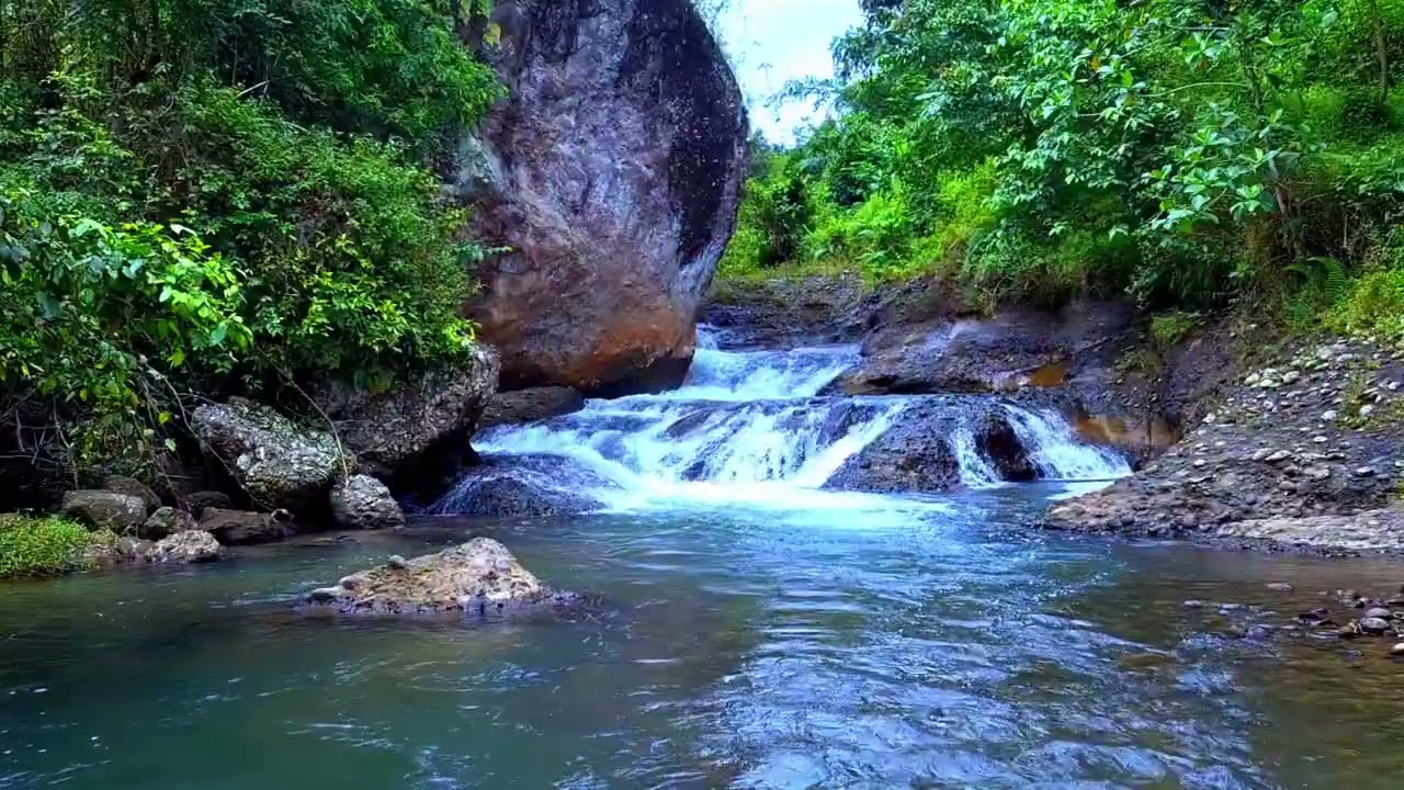 Лесная речная атмосфера 🌲 | ASMR-звуки природы для медитации и внутреннего покоя #gemuruhriver