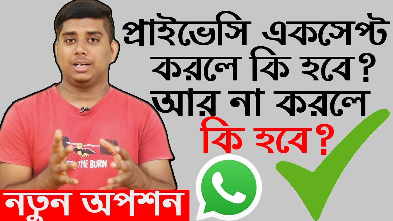 Whatsapp gives 2 options, see what will happen if you accept or not the Privacy Policy