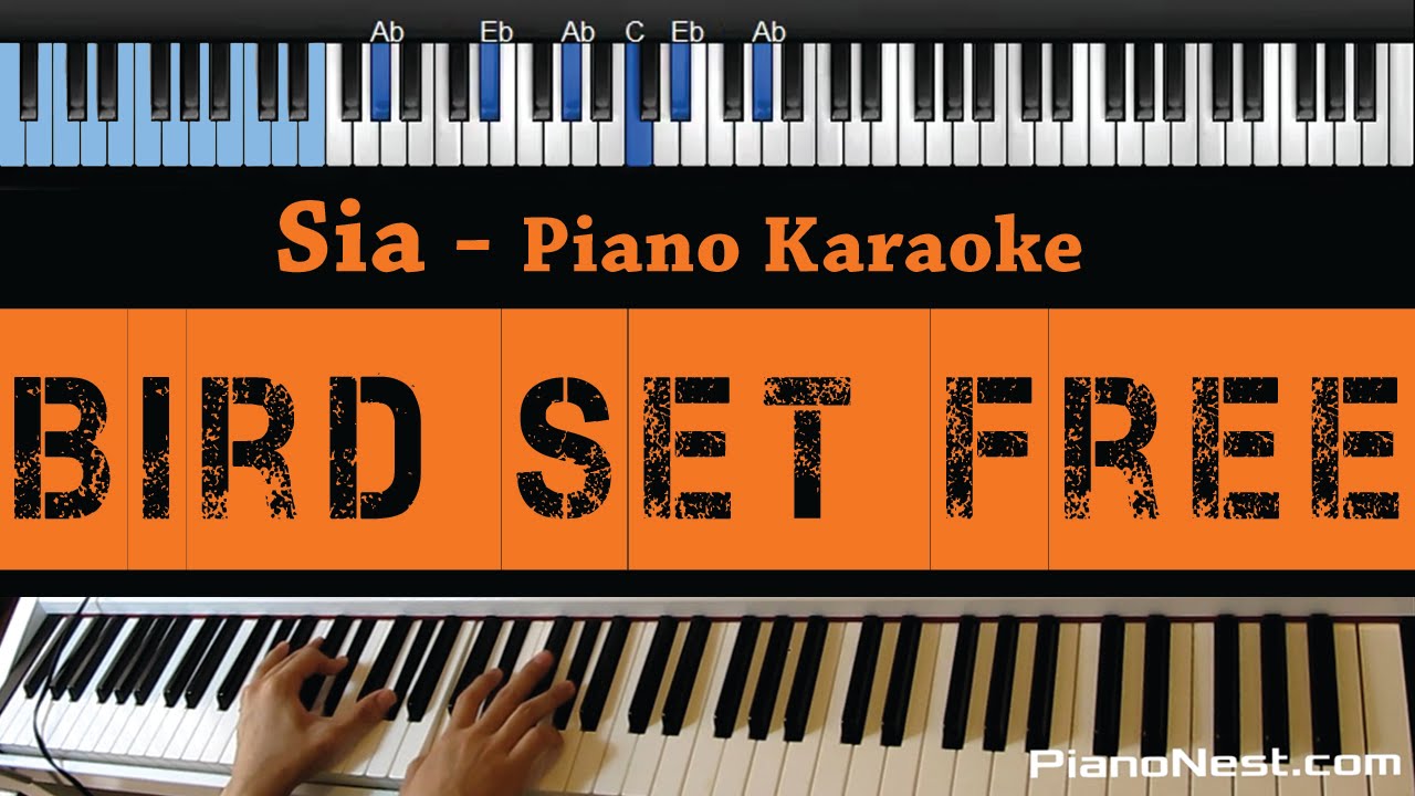 Sia - Bird Set Free - LOWER Key (Piano Karaoke / Sing Along)