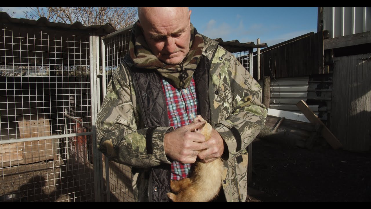 The School on Seaside Lane Easington - Trailer