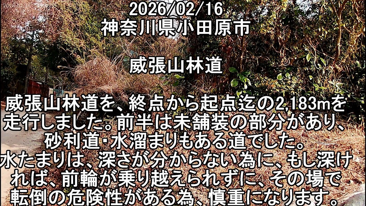 #神奈川県 #小田原市 #威張山林道 　　　           　#Forestroad　　　　　2026/02/16 #vstrom250sx #Vストローム250SX #林道 #バイク #威張山