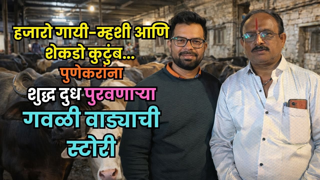 पुण्याला दूध पुरवणारी वस्ती – गवळी वाडा | दुधाचा व्यवसाय कसा चालतो ? | Pune Gawali wada  story